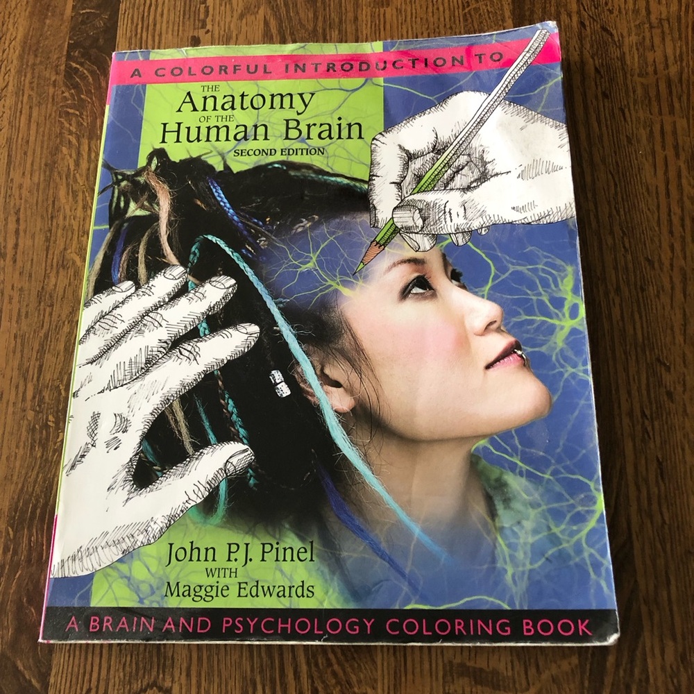 A Colorful Introduction to the Anatomy of the Human Brain A Brain and Psychology